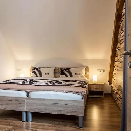 Apartman Zetzl *
